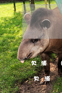 欠浦發(fā)銀行信用卡為什么挨拘留-欠浦發(fā)信用卡的錢會扣銀行卡里的錢嘛