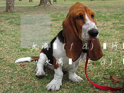 欠浦發(fā)銀行萬(wàn)用金20w(欠浦發(fā)銀行萬(wàn)用金10萬(wàn)歸入信用卡本金)