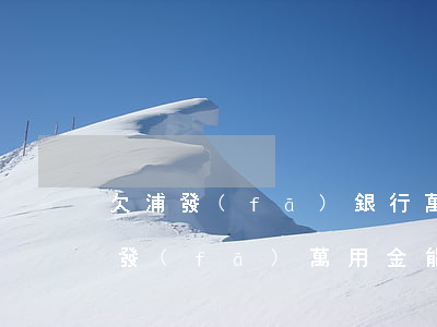 欠浦發(fā)銀行萬用金判刑案例(起訴浦發(fā)萬用金能勝訴嗎)