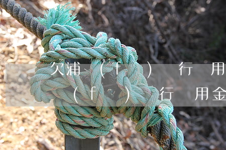 欠浦發(fā)銀行萬用金沒有辦法還(欠浦發(fā)銀行萬用金無力償還,銀行會在那個城市立案起訴)