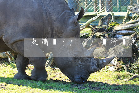 欠浦發(fā)銀行萬用金送達報案書