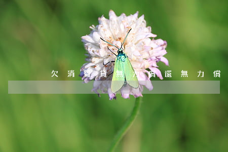 欠消費貸無力償還（無力償還消費者貸款）
