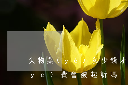 欠物業(yè)多少錢才會起訴(拖欠物業(yè)費會被起訴嗎)