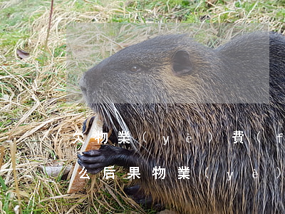 欠物業(yè)費(fèi)被起訴會有什么后果(物業(yè)費(fèi)欠多少會被起訴,會給業(yè)主們造成什么后果)