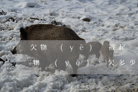 欠物業(yè)費被起訴會有什么后果嚴重(物業(yè)費欠多少會被起訴,會給業(yè)主們造成什么后果)