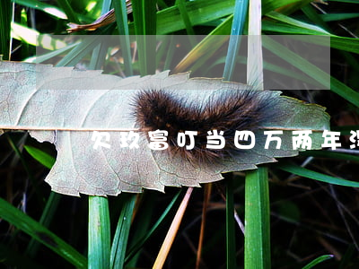 欠玖富叮当四万两年没还(玖富叮当贷还有吗)