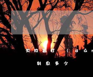 欠玖富叮當(dāng)貸怎么樣(玖富萬卡貸利息多少)