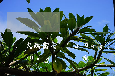 欠玖富叮當(dāng)貸款(玖富叮當(dāng)貸還有嗎)