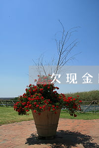 欠现金巴士500元会起诉吗