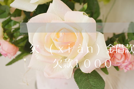 欠現(xiàn)金借款1000元會被起訴嗎(欠款1000塊錢可以起訴嗎)