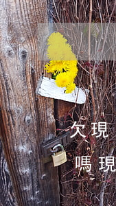 欠現(xiàn)金借款平臺的錢不還可以嗎(現(xiàn)金貸可以不還嗎)