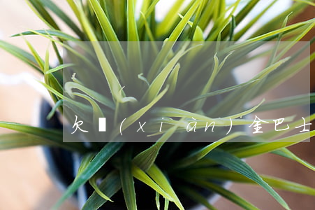 欠現(xiàn)金巴士1000塊
