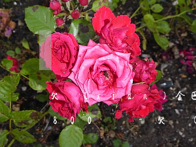 欠現(xiàn)金巴士25個(gè)月800塊錢-欠現(xiàn)金巴士25個(gè)月800塊錢會(huì)起訴嗎