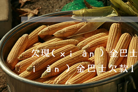 欠現(xiàn)金巴士5000元(現(xiàn)金巴士欠款1000元四年沒還要還多少)
