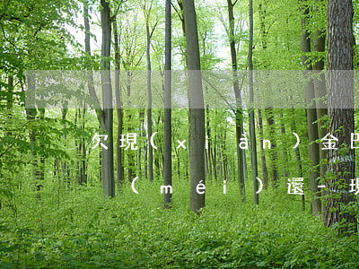 欠現(xiàn)金巴士逾期有795了也沒(méi)還-現(xiàn)金巴士借款逾期