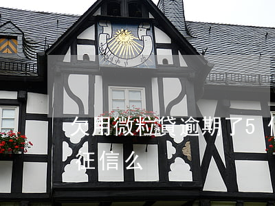 欠用微粒貸逾期了5個月(微粒貸逾期5天上征信么)
