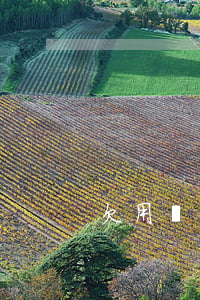欠用錢寶1000塊錢(欠錢1000元)