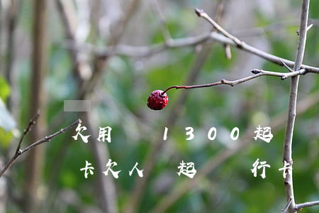 欠用錢寶1300起訴凍結(jié)銀行卡(欠人錢起訴銀行卡凍結(jié))