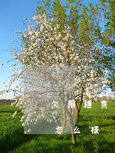 欠用錢寶2千不還會怎樣(欠用錢寶沒錢還,會怎么樣?) 欠用錢寶2千不還會怎樣(欠用錢寶沒錢還,會怎么樣?)