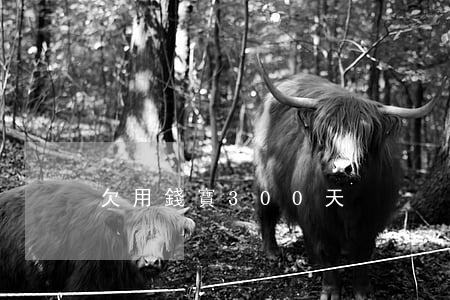 欠用錢寶300天