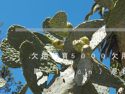 欠用錢寶5000(欠用錢寶2000,三年才聯(lián)系我叫還四千多)