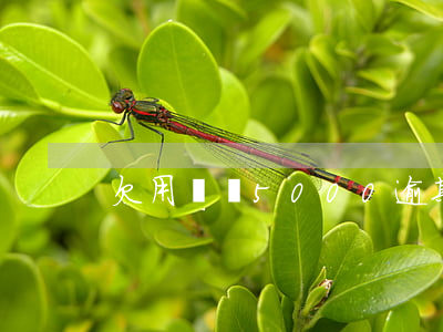 欠用錢寶5000逾期三年了