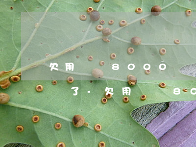 欠用錢寶8000沒還現(xiàn)在起訴了-欠用錢寶8000沒還現(xiàn)在起訴了,是真的嗎
