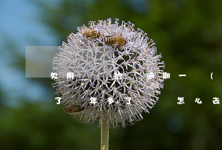 欠用錢寶的錢逾期一個(gè)月(用錢寶欠了兩年多了沒還,怎么去掉支付寶逾期記錄?)