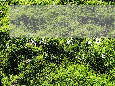 欠用錢寶的錢逾期會(huì)不會(huì)凍結(jié)微信-欠用錢寶的錢逾期會(huì)不會(huì)凍結(jié)微信支付