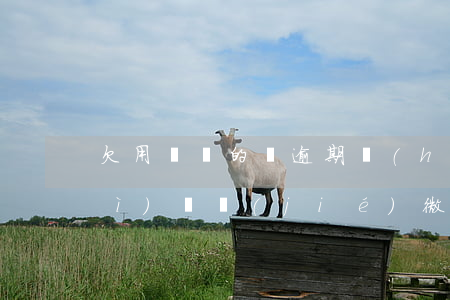 欠用錢寶的錢逾期會(huì)不會(huì)凍結(jié)微信(欠哪里的錢會(huì)凍結(jié)微信)