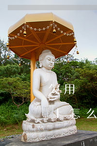 欠用錢寶還不上了怎么辦(支付寶里欠錢還不上怎么辦)