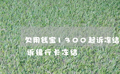 欠用钱宝1300起诉冻结银行卡(欠人钱起诉银行卡冻结)