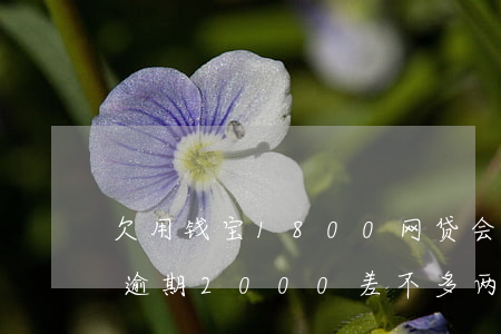 欠用钱宝1800网贷会被起诉吗(欠用钱宝逾期2000差不多两年,会坐牢吗)