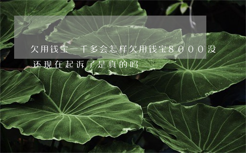 欠用钱宝一千多会怎样(欠用钱宝8000没还现在起诉了,是真的吗)