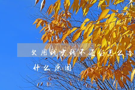 欠用钱宝钱不还会怎么办(用钱宝还不了款是什么原因)