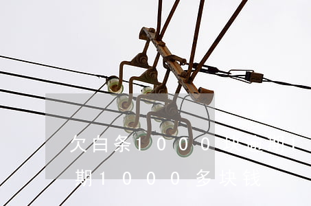 欠白条1000块逾期100多天-白条逾期1000多块钱
