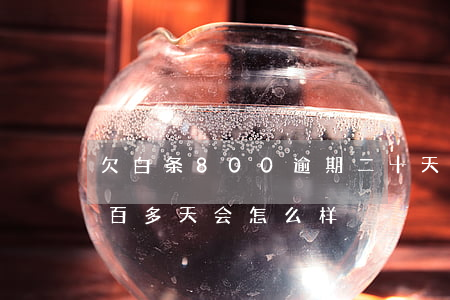 欠白条800逾期二十天怎么办(白条逾期两百多天会怎么样)