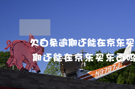 欠白条逾期还能在京东买东西吗-欠白条逾期还能在京东买东西吗安全吗