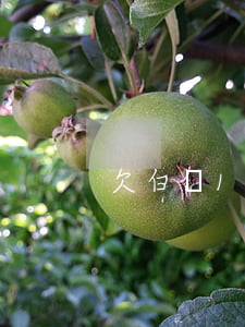 欠白條1萬(wàn)逾期半年