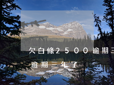 欠白條2500逾期三年了(欠白條2500逾期三年了)