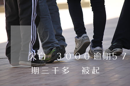 欠白條3000逾期57天嚴重嗎-白條逾期三千多會被起訴嗎