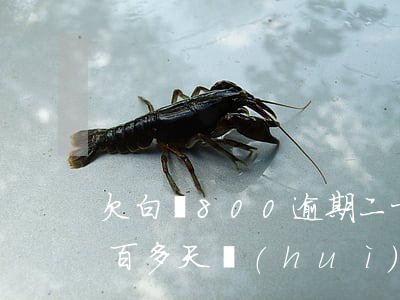 欠白條800逾期二十天怎么辦(白條逾期兩百多天會(huì)怎么樣)