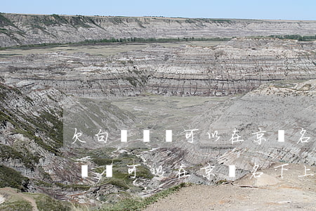 欠白條沒還可以在京東名下上班么-欠白條沒還可以在京東名下上班么