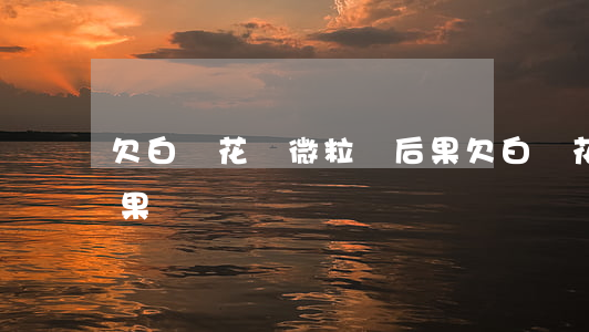 欠白條花唄微粒貸后果(欠白條花唄微粒貸后果)
