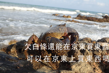 欠白條還能在京東買東西嗎(京東白條逾期還可以在京東上買東西嗎)