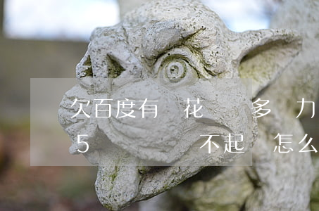 欠百度有錢花兩萬多無力償還(百度有錢花欠5萬塊錢還不起會怎么樣?)