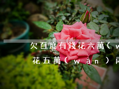 欠百度有錢花六萬(wàn)多(欠百度有錢花五萬(wàn)兩年沒(méi)還)