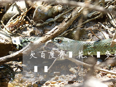 欠百度有錢花六萬多(欠百度有錢花五萬兩年沒還)