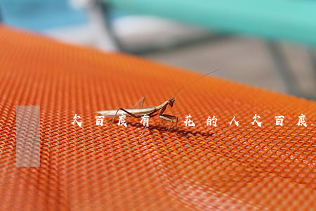 欠百度有錢花的人(欠百度有錢花怎么樣)