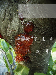 欠百度有錢花的錢可以不還嗎(百度有錢花不還款可以嗎)